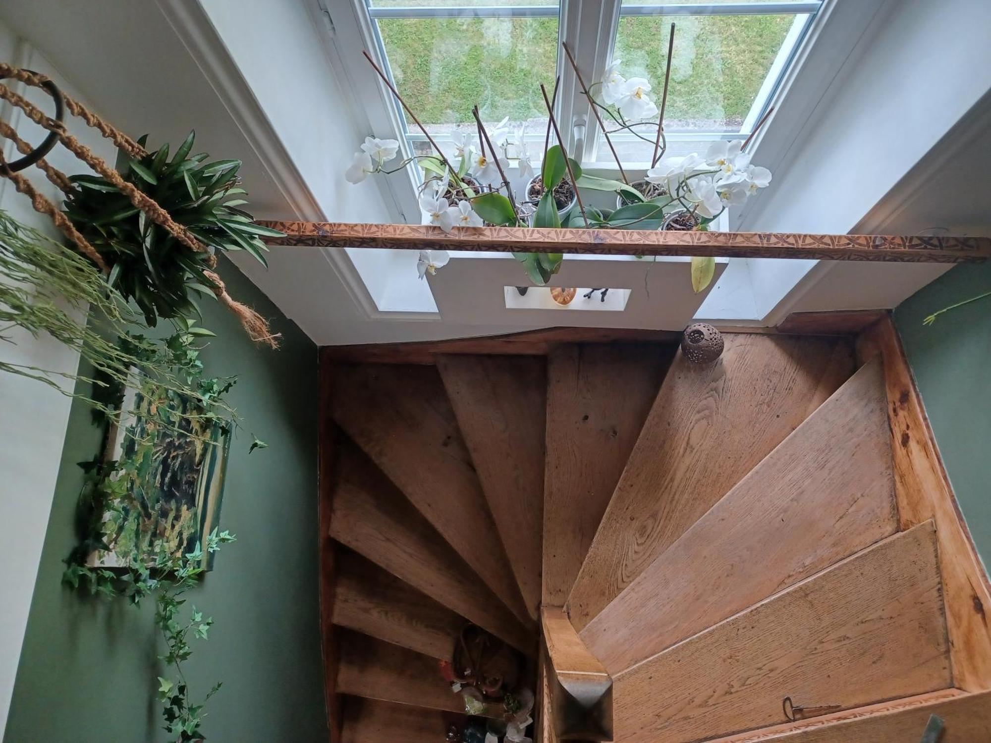 Le Banellou Bed & Breakfast Quimper Ngoại thất bức ảnh