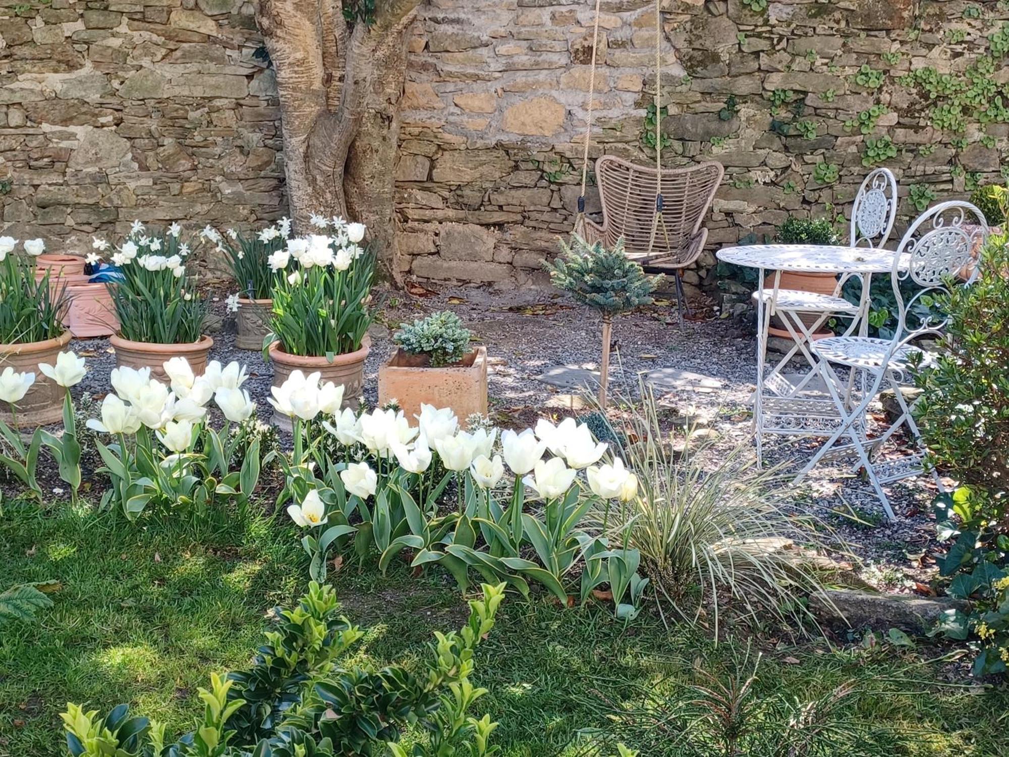 Le Banellou Bed & Breakfast Quimper Ngoại thất bức ảnh