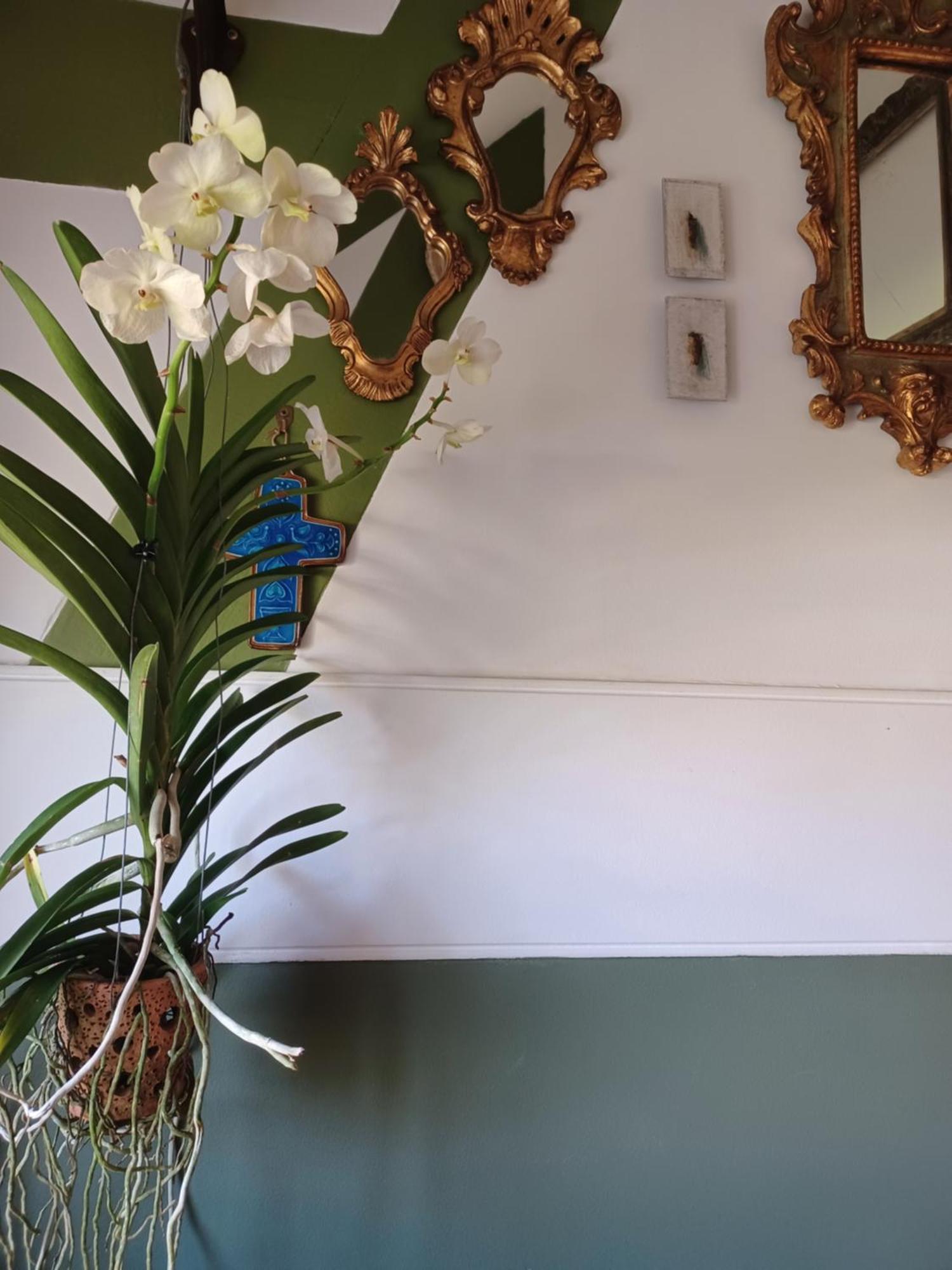 Le Banellou Bed & Breakfast Quimper Ngoại thất bức ảnh